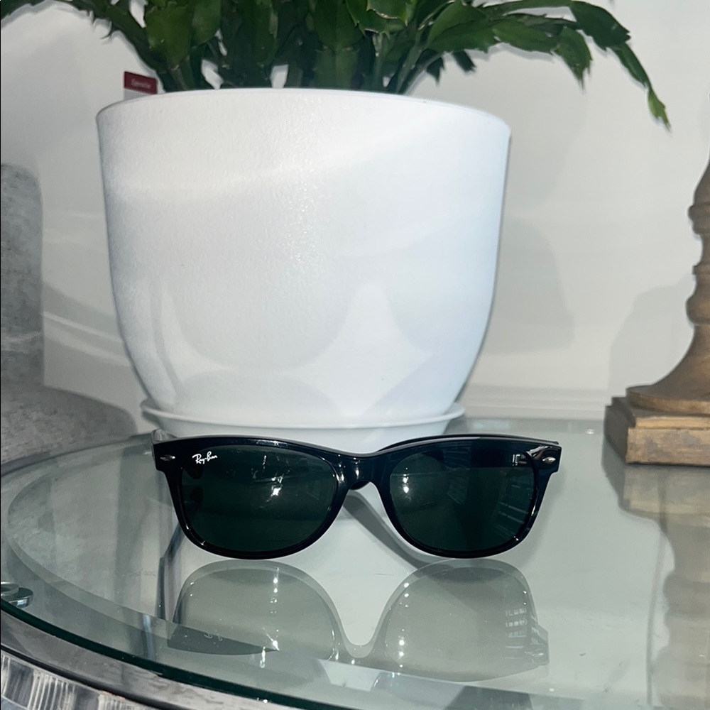 Ray-Ban Black Sunglasses
